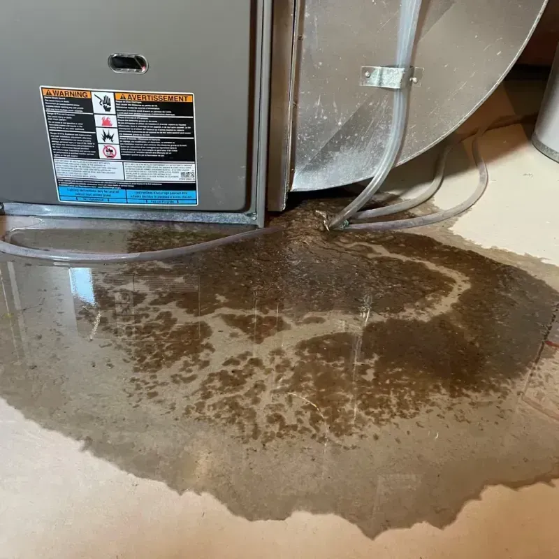 Appliance Leak Cleanup in Pocahontas County, IA